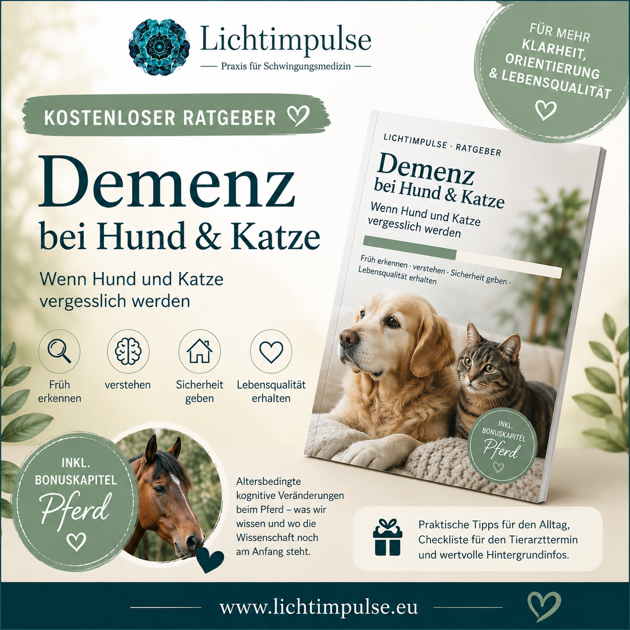 Kostenloser Ratgeber: Demenz bei Hund & Katze – Wenn Hund und Katze vergesslich werden